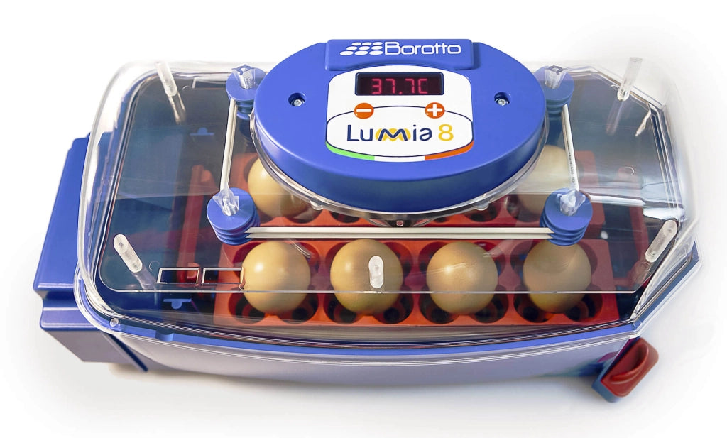 Incubatrice per Uova in Abs Automatica con Biomaster Borotto Lumia 8