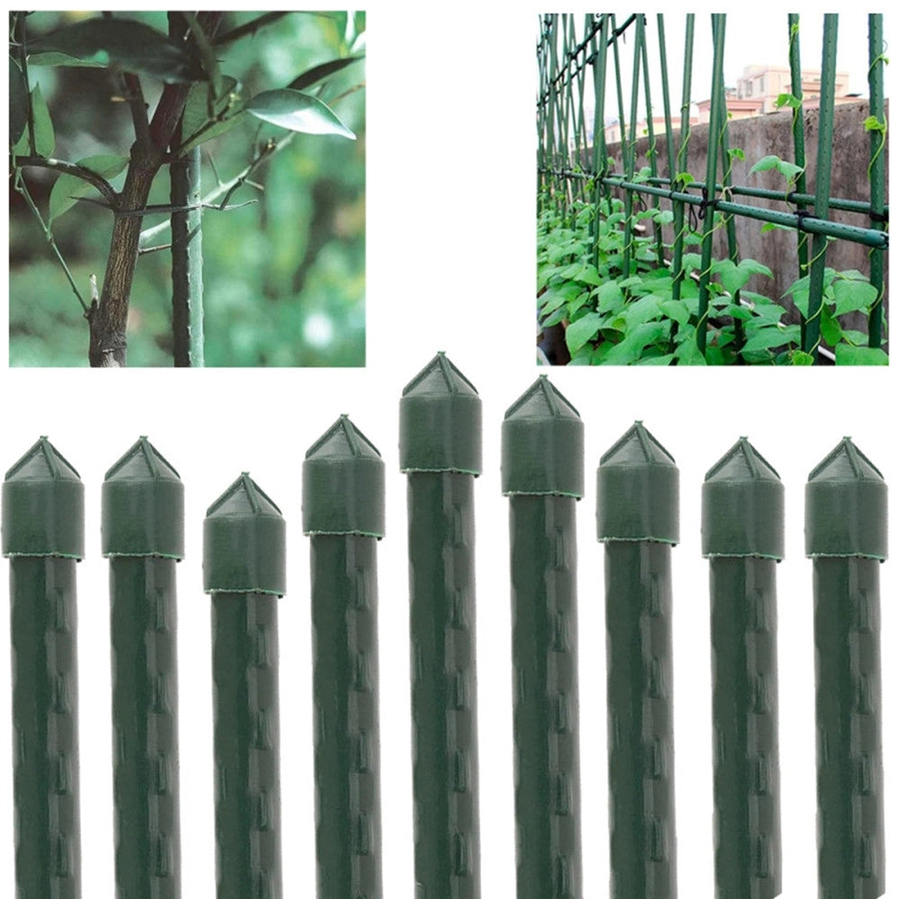 Trade Shop - Set 25 Pali Tutori Canna Per Sostegno Piante Rampicanti Pomodori H60cm ø8mm Grn02 163860a -