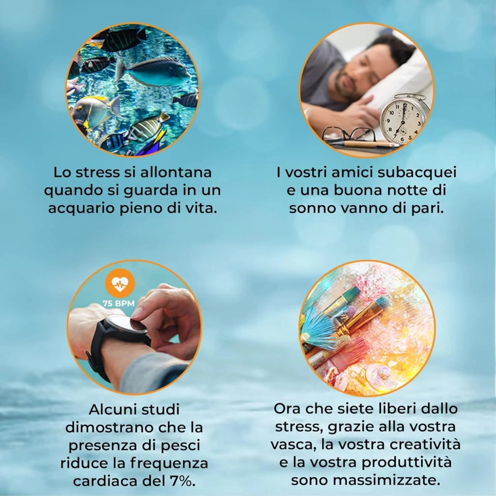 Acquario Grande per Ufficio, Casa e Reception 300 Litri Armadietto Nero