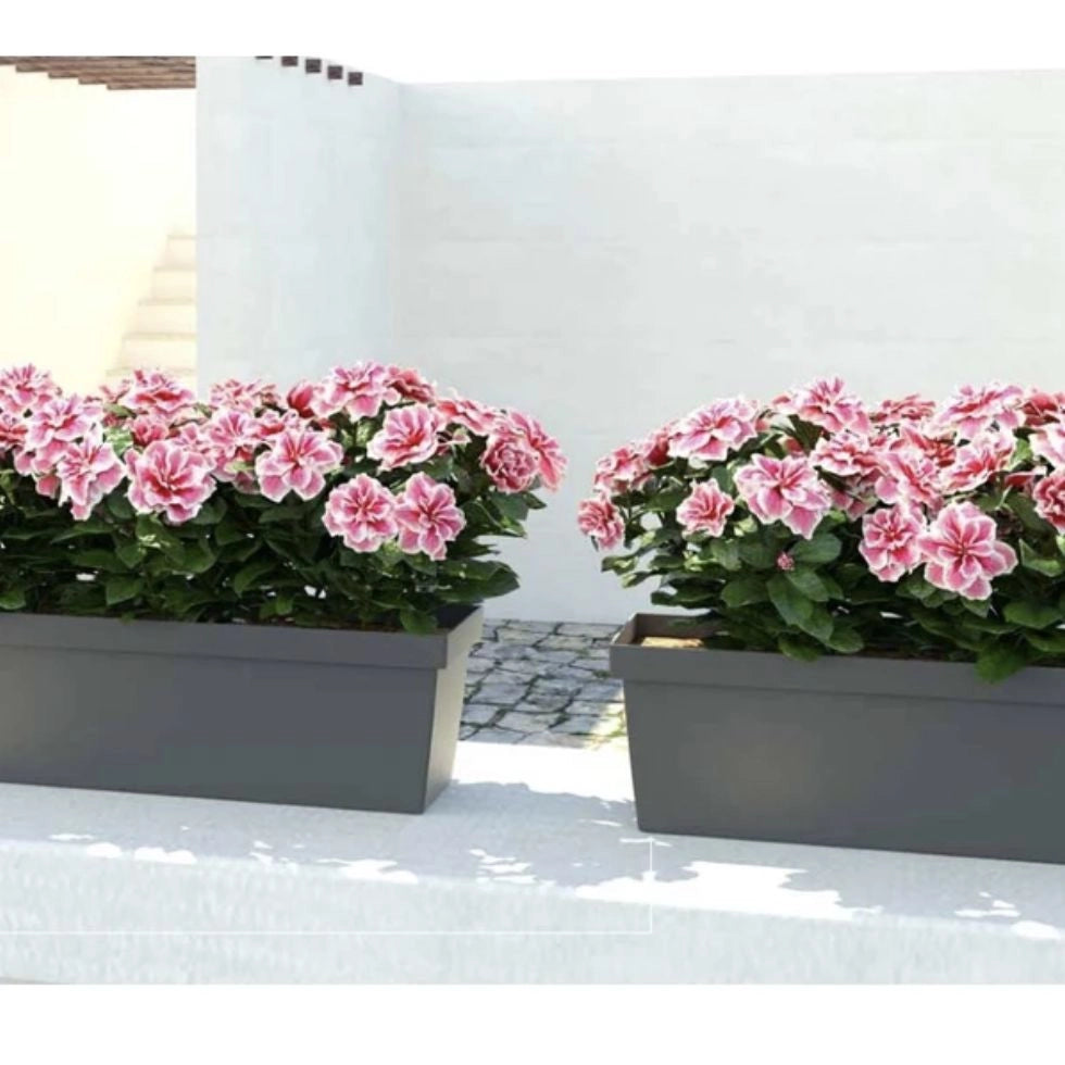 BALCONETTA COLORADO 50 SOTTOV.+KIT GRIPPO Smoke