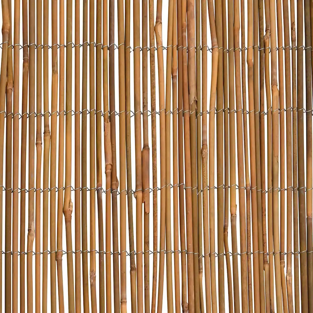 Recinzione in Bambù 500x100 cm 312296