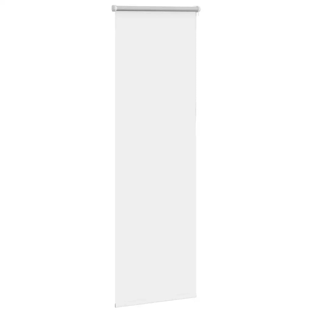 Tenda a Rullo Oscurante 60x150 cm Larghezza Tessuto 55,7 cm 4011900