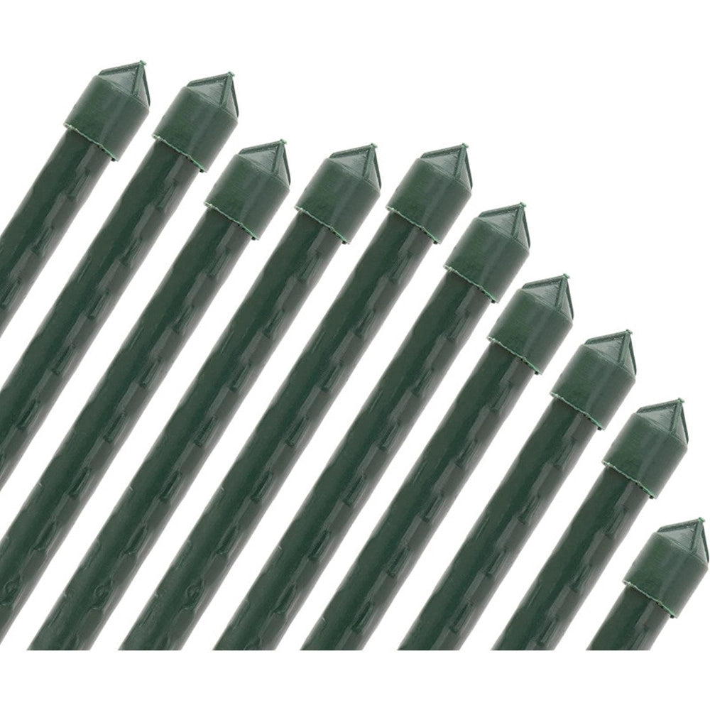 Trade Shop - Set 25 Pali Tutori Canna Per Sostegno Piante Rampicanti Pomodori H60cm ø8mm Grn02 163860a -