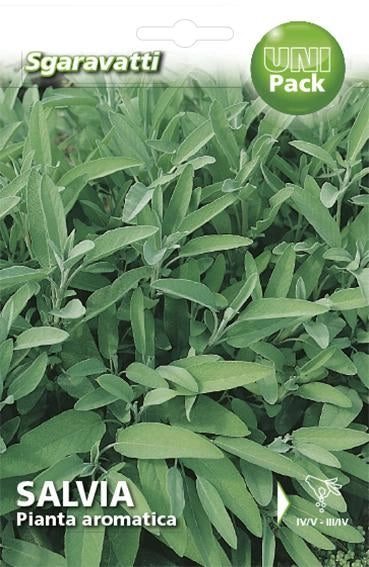 SEMI PER ORTAGGI E VEGETALI salvia officinale 20 pezzi  - SGARAVATTI