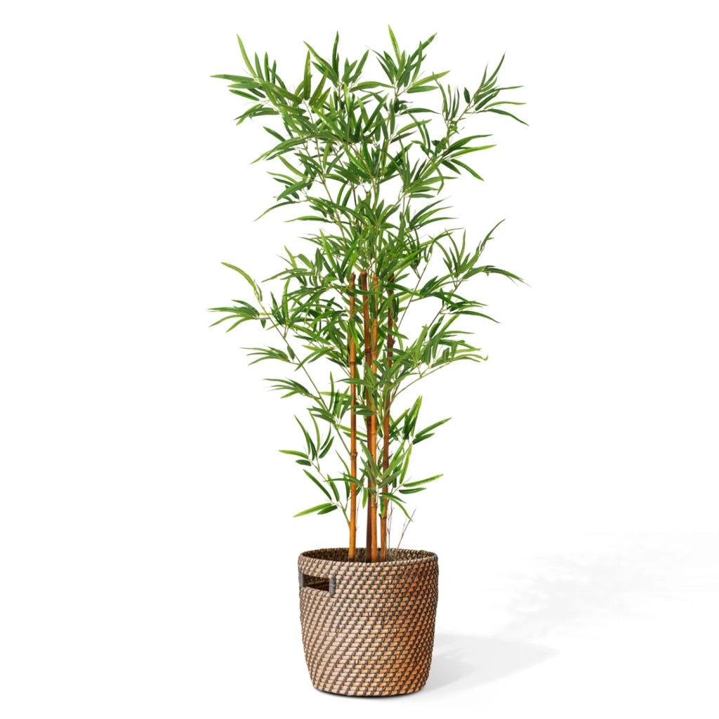 IDMarket - Bambù artificiale, pianta artificiale alto 150 cm