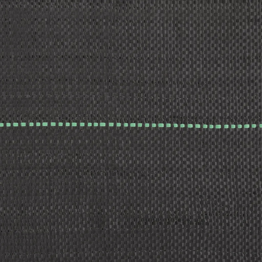Membrana Antierbacce Nera 1x25 m in PP 4005215