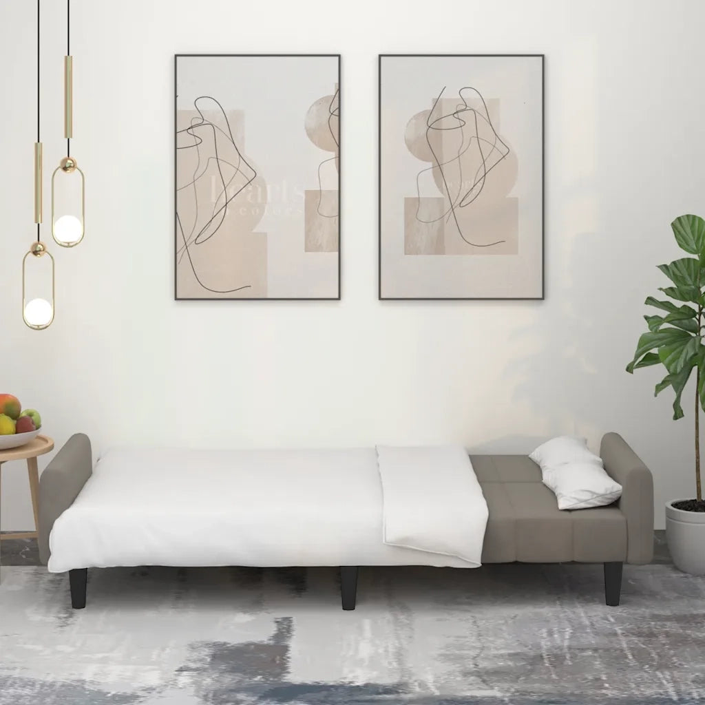 Divano letto | Sof¨¤ letto | Letto singolo a 2 Posti Grigio Chiaro in Velluto