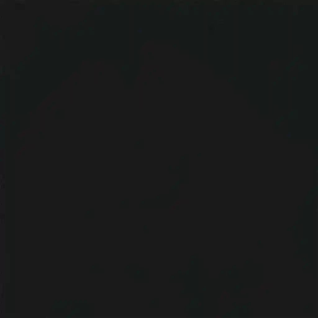 Divani con cuscino 55cm Nero Legno compensato 42023443