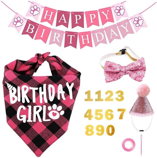 Set di compleanno per cani - cappello - fiocco farfalla - piatto - adesivi numerati - bandiera - riutilizzabile - set di festa per cani