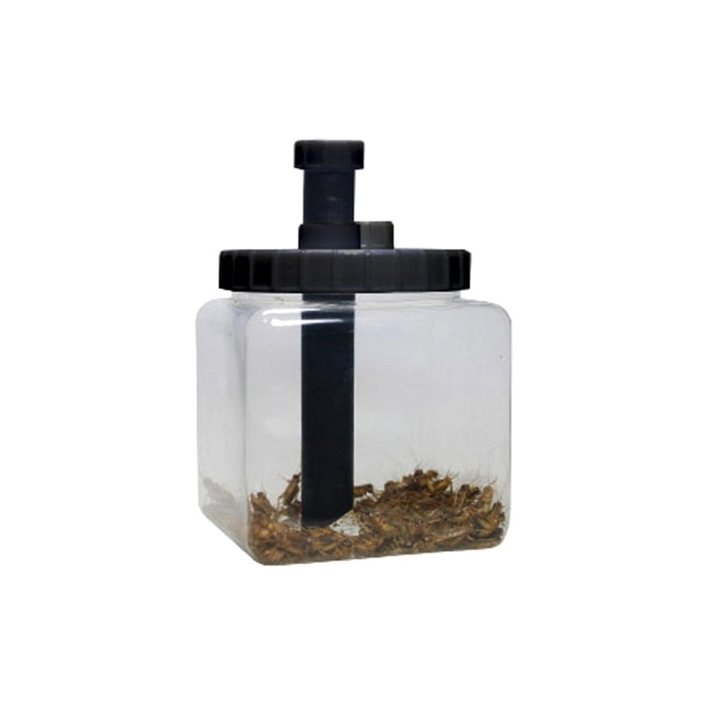 Lucky Reptile Cricket Keeper cm13,5x13,5x20h