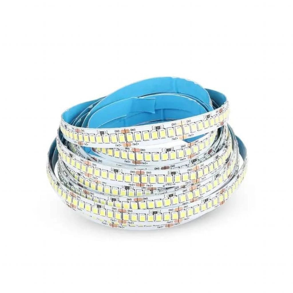 Striscia Strip LED SMD2835 18W/m 5m 238 LED/m 135LM/W 24V 3000K IP20 10mm