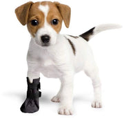 Sok di protezione per cani - confortevole - 1 pezzo - 100% softshell