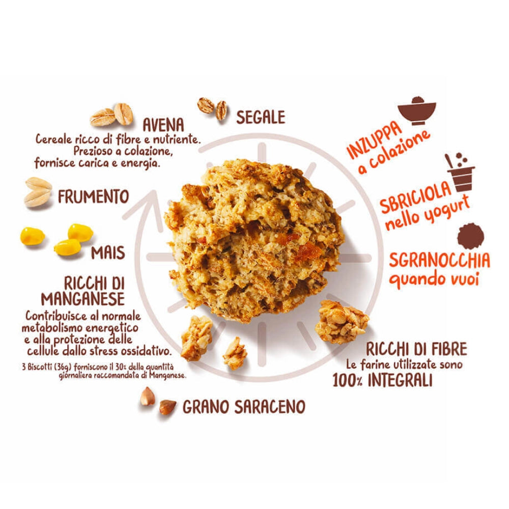 Galbusera cereali g granola e frolla con albicocca arancia mandorle da 300 gr