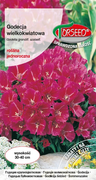 Godetia grandiflora - Godetia grandiflora sfumature cremisi e rosso scarlatto 1g