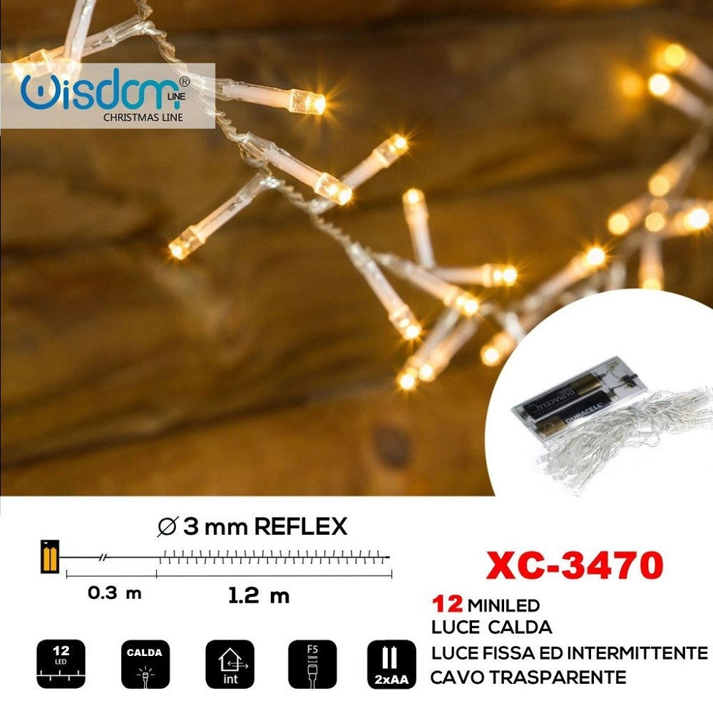 Trade Shop - Catena 12 Led A Batteria Cavo Trasparente Luce Calda Fissa+intermittente Xc-3470 -