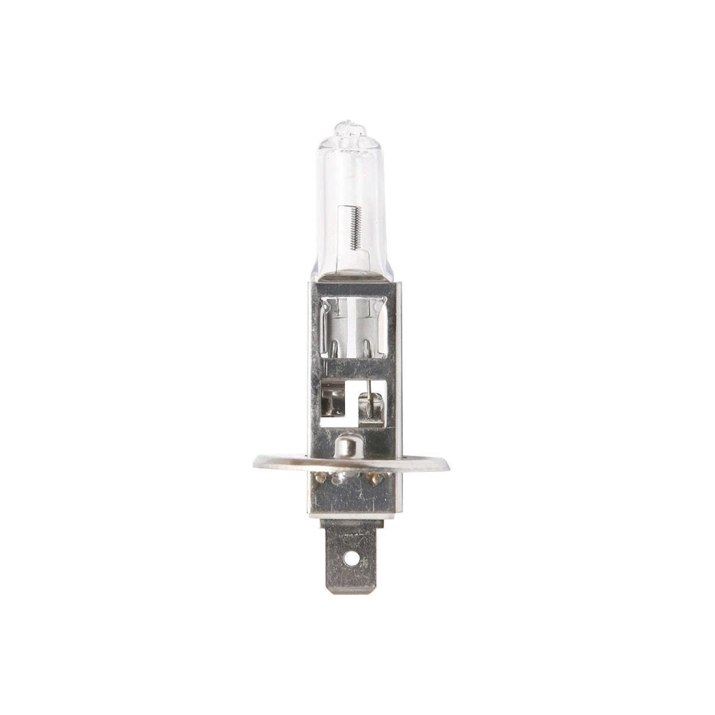 Lampadina H1 12V 55W