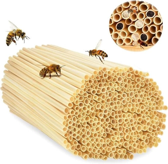 Kit per costruire un alveare - 500 pezzi - Insectario - Assistenza riproduttiva - Fai da te - Materiale di sostegno a base di tarassio - Ecocompatibile - 14,5 cm di altezza