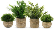 Mini piante artificiali - decorazione - set da 4 - verde - plastica