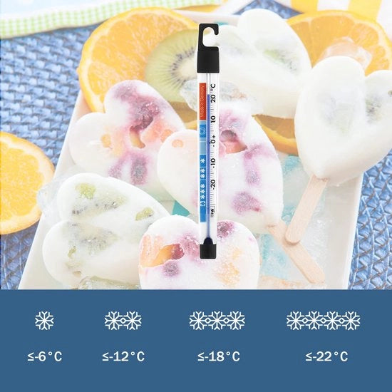 Termometro analogico per temperatura di congelazione per frigorifero e congelatore con zone di congelazione