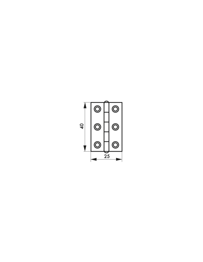 Cerniera per porta 40 x 25 mm, ottone – THIRARD