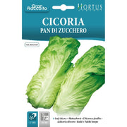 Cicoria Pan di zucchero Gran Raccolto