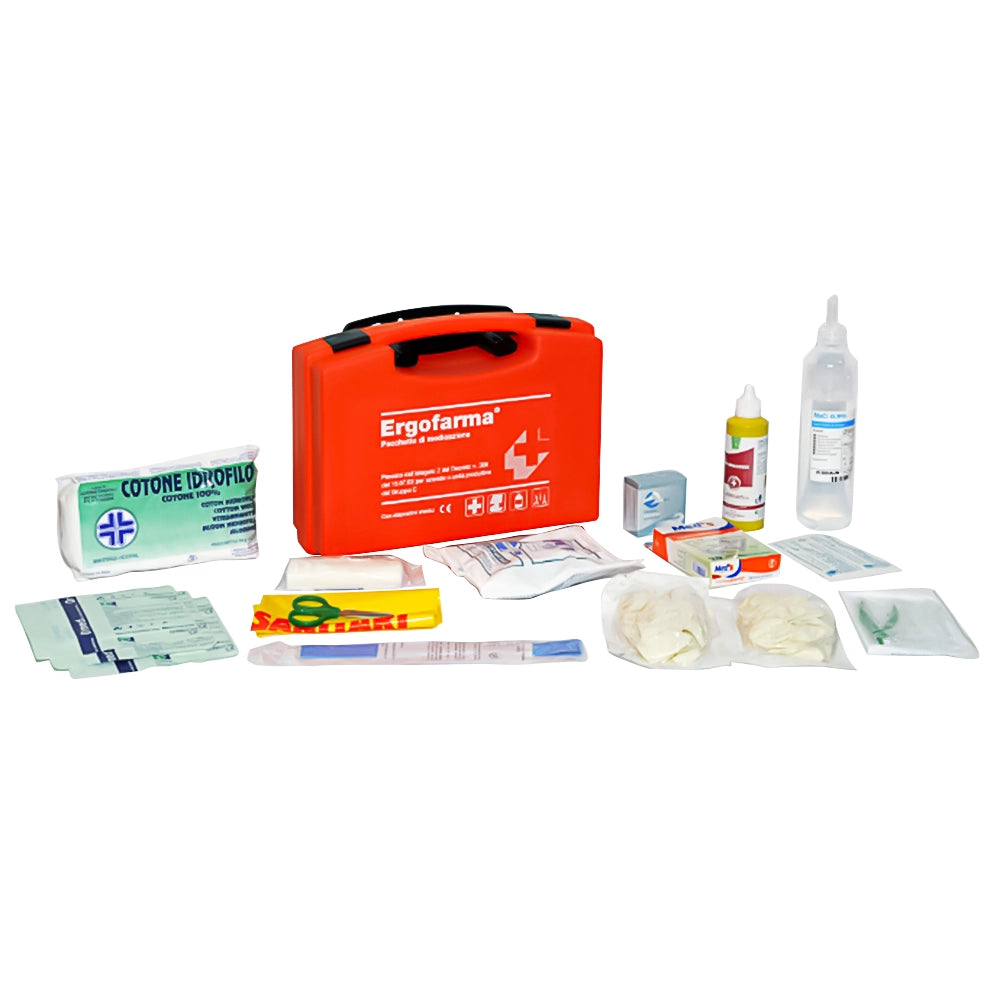 Cassetta pronto soccorso mini portatile con kit completo