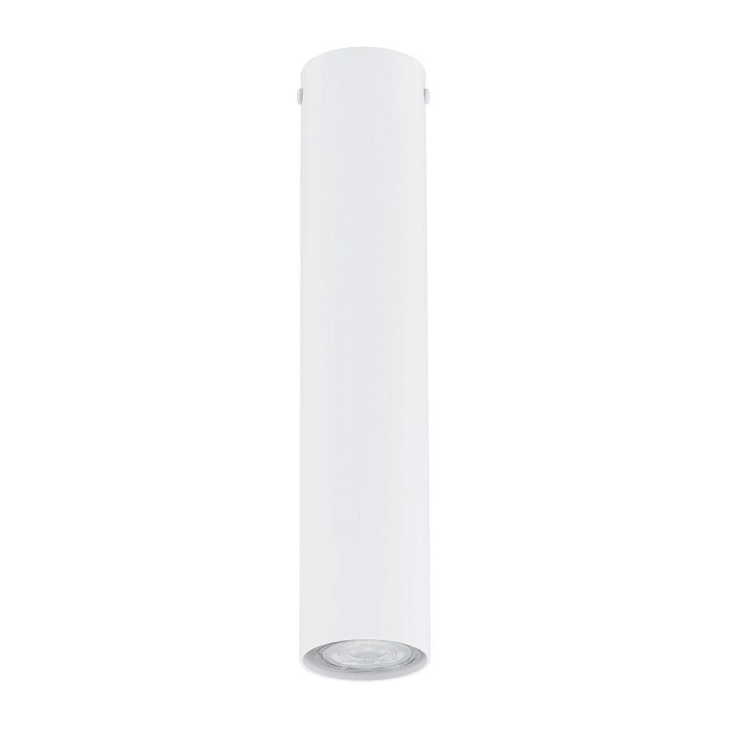 Plafoniera Moderna Faretto Marduk 1 Luce Acciaio Bianco 30 Cm