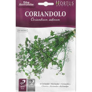 Coriandolo DB