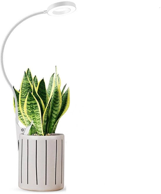 Lampada LED per fioritura con clip rimovibile, clip per vaso di fioritura, lampada per vaso di fioritura, lampada per piante in altezza regolabile, lampada LED per fioritura con clip con tubo di colonna.