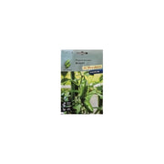 Peperoncino Bullet Le asiatiche