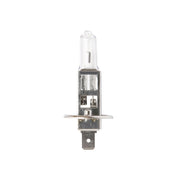 Lampadina H1 12V 55W