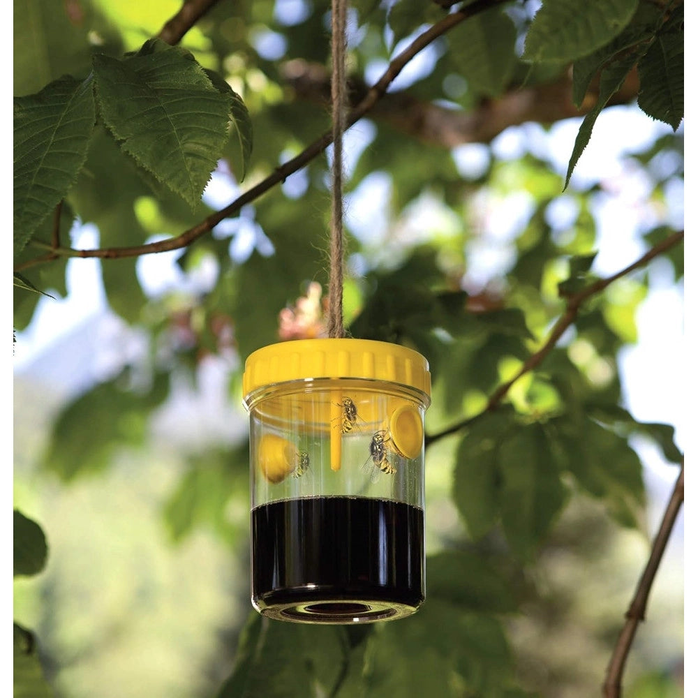 Trade Shop - Set 6 Pz Trappola Per Vespe Calabroni Insetti Da Appendere Balcone Giardino 020176 -