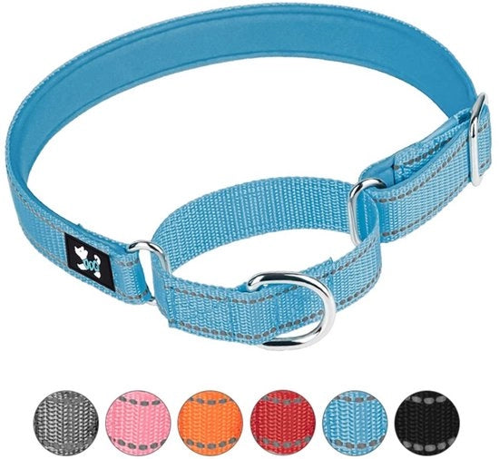 Cinturino per cani adattabile - Martingale per la formazione di sicurezza - Neoprene imbottito - Nylon respirabile - Taglia Grande (42-60 cm) - Adatto per cani grandi - Cinturino per cani