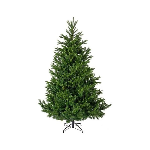Albero natale amicasa 9684305 nordmann