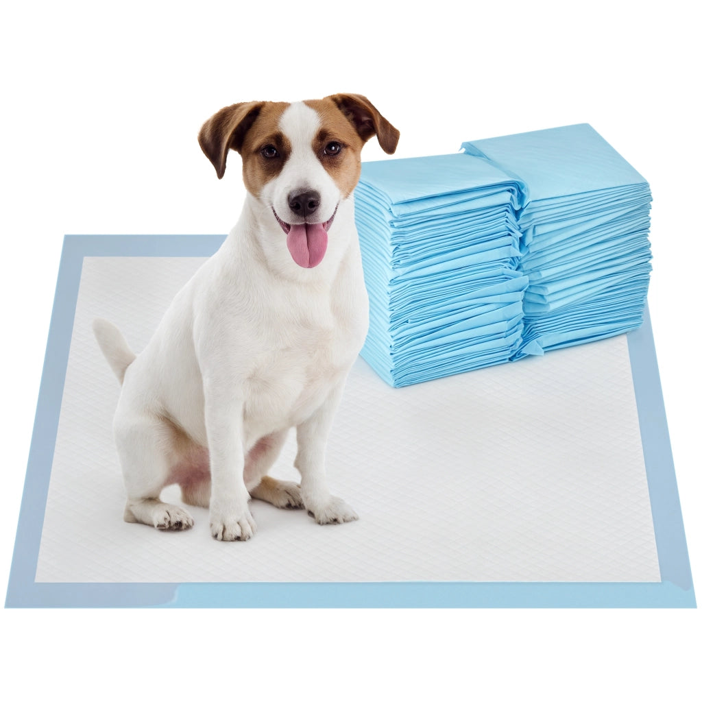 Set 100 Tappetini Igienici per Cani a 6 Strati in Tessuto non Tessuto, Carta e PE, 45x60 cm, Blu e Bianco