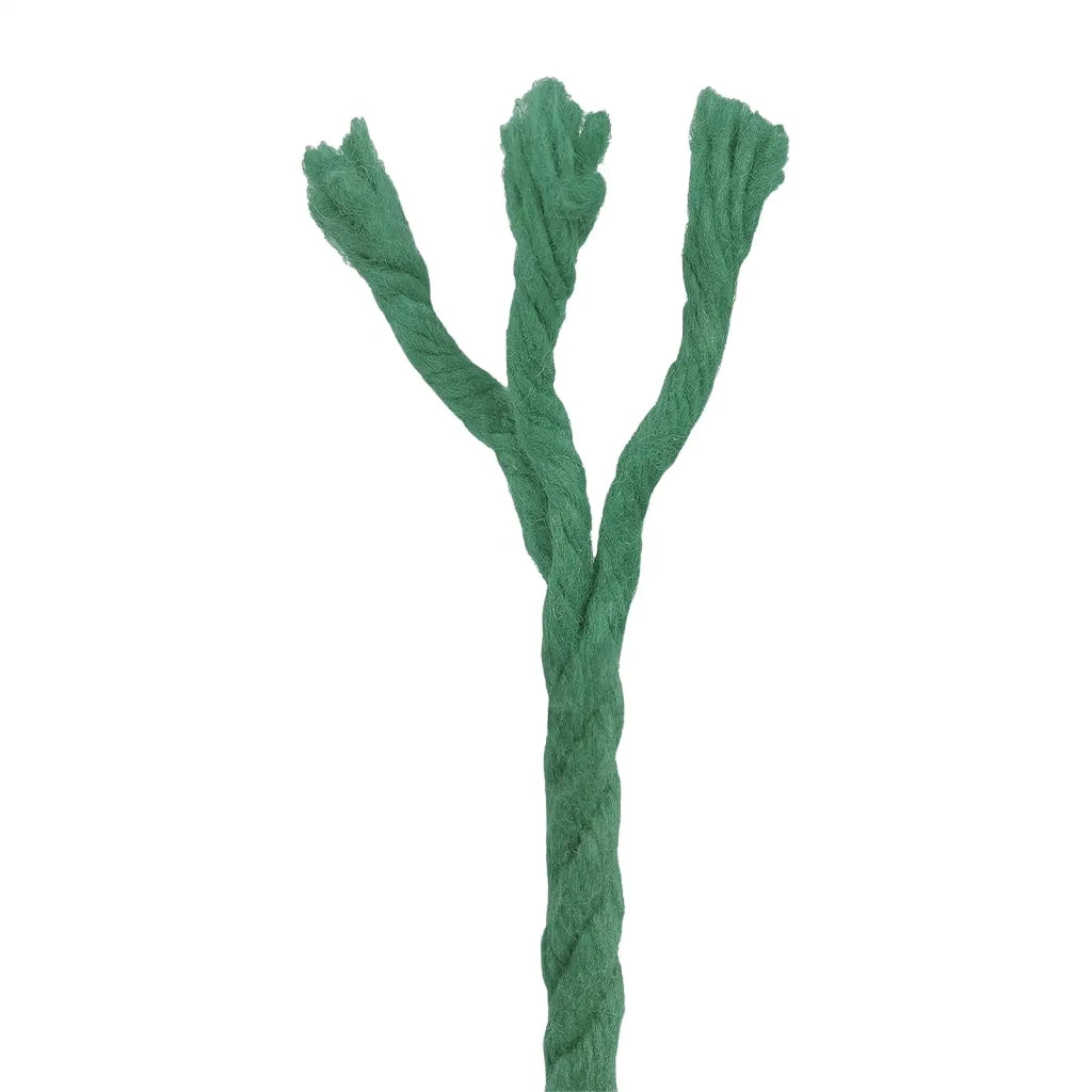 Corda 2 pcs Verde Cotone 42011940