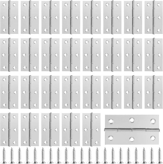 Set di Cardini per Porte da 30 - Cardini in Acciaio Inox 66 x 37 mm - Pennello per Cardini - Cardini per Cucine - Antiscivolo - Installazione Facile