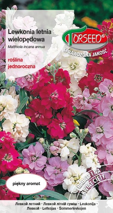 Pesce leone estivo - Matthiola incana annua Varsovia, mix di colori lucidi. lascia 0,5 g