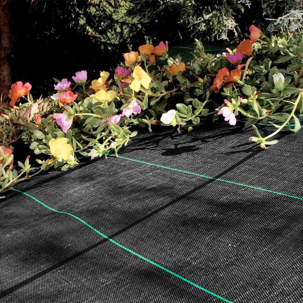 Telo Pacciamatura  Antistrappo Uv Resistente Permeabile Drenante Orto Giardino Serra Polipropilene Contro Le Erbacce Copertura Pacciamante Super Resistente Stop Erbe Infestanti 1.05x100Mt