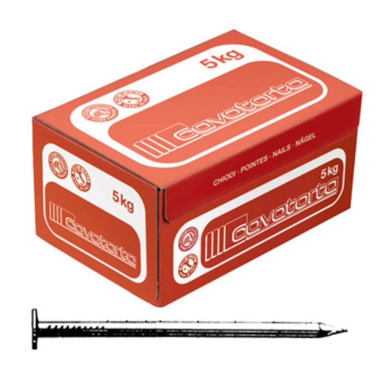 CHIODI TESTA PIANA 10X22  CAVATORTA- 5,0 kg