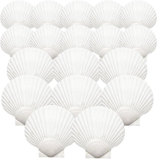 18 Stuks Grote Natuurlijke Schelpen per Decorazione