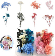 Fiori Secchi Naturali per Artigianato - Scatola di 2 Esemplari Mini Mista a Relievo per Resina, Sapone Artigianale, Scrapbooking, Gioielleria, Manicure, Carta Regalo, Decorazione di Natale