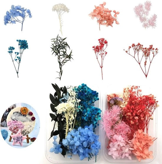 Fiori Secchi Naturali per Artigianato - Scatola di 2 Esemplari Mini Mista a Relievo per Resina, Sapone Artigianale, Scrapbooking, Gioielleria, Manicure, Carta Regalo, Decorazione di Natale