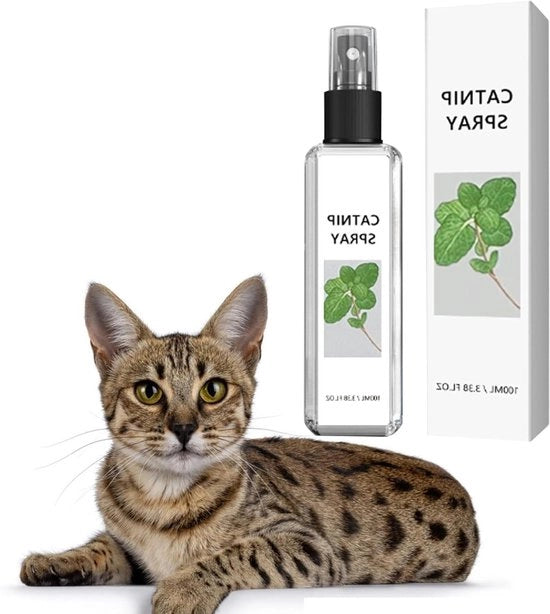 Spray per gatti per la formazione e la rilassamento con erba per gatti