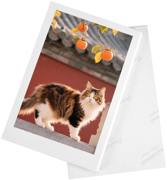 Fotopapier 100 fogli - 10 x 15 cm - Luccicante - Fotopapier per stampante a getto d'inchiostro - Alta lucidità - Superficie rapida e resistente all'umidità - Carta per stampa