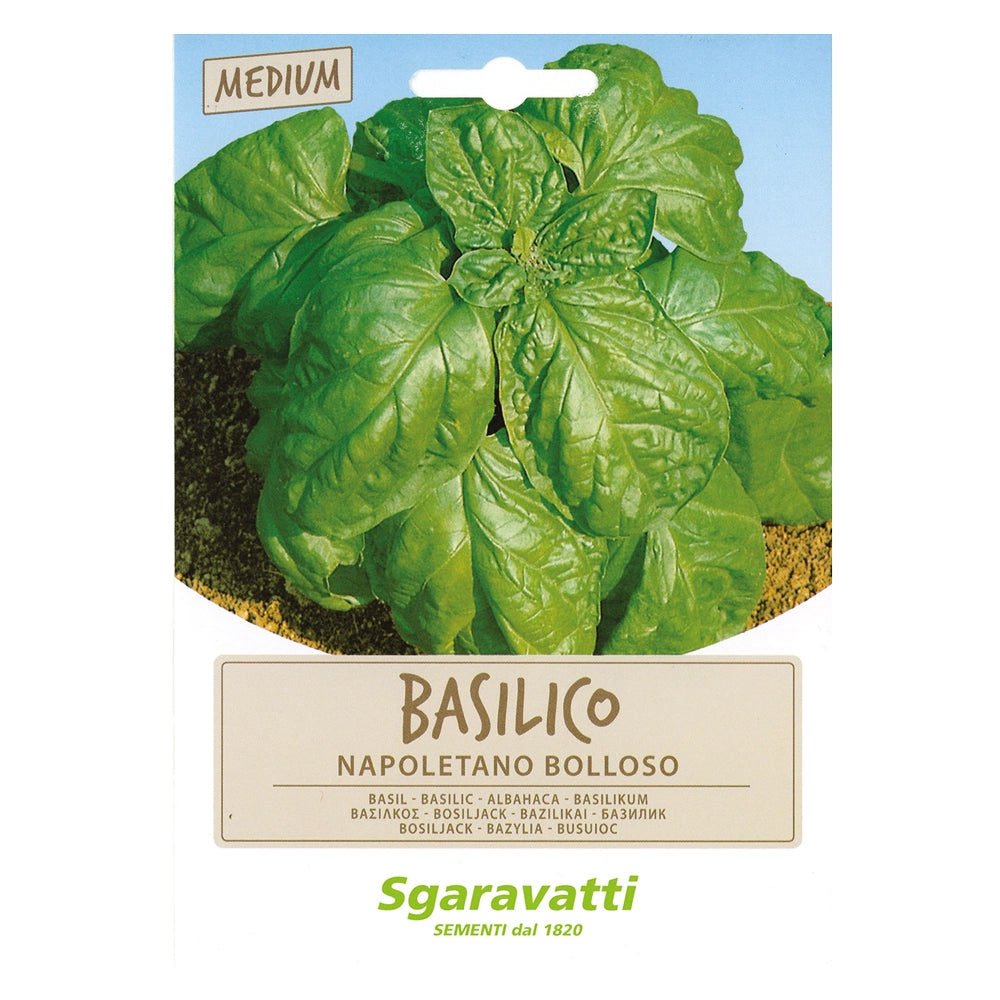 SEMI PER ORTAGGI E VEGETALI basilico napoletano bolloso- 10 pezzi  - SGARAVATTI