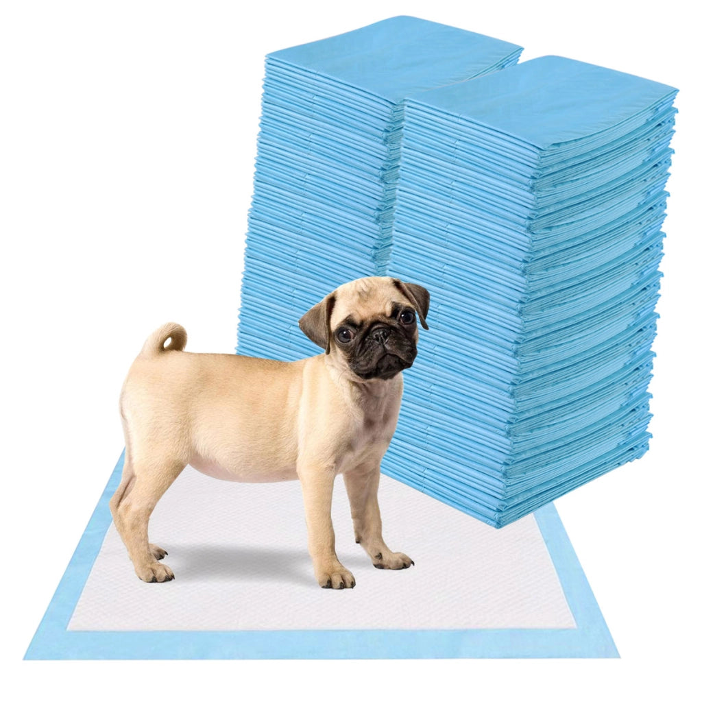 Traverse usa e getta con controllo odore, Traverse per cani gatti conigli con asciugatura rapida 60 x 60 cm-Giochi e accessori per cani