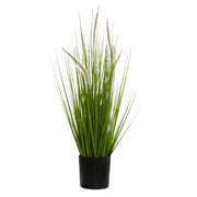 Bouquet di Erba Gatta H70 cm con Vaso