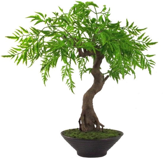 Pianta bonsai artificiale a foglie.