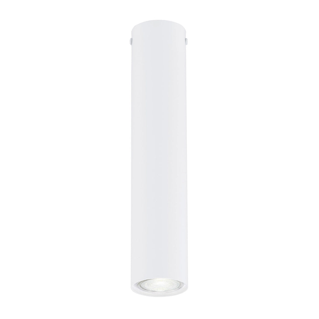 Plafoniera Moderna Faretto Marduk 1 Luce Acciaio Bianco 30 Cm